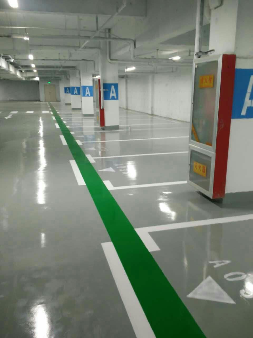 91视频网页版