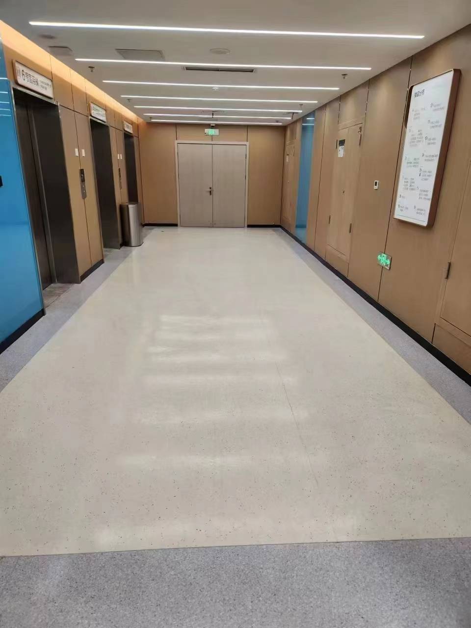 91视频网页版