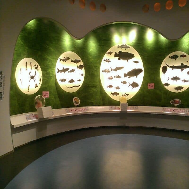 江蘇亞麻地板展覽館地板超91视频塑膠地板